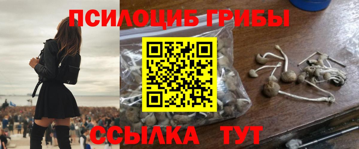 Галлюциногенные грибы Cubensis Орёл